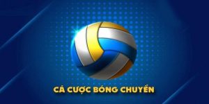 Bí Quyết Cá Cược Bóng Chuyền Đảm Bảo Thu Tiền Thưởng Khủng